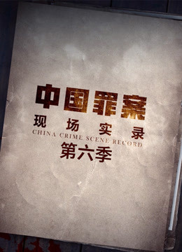 罪案现场实录 第六季(全集)