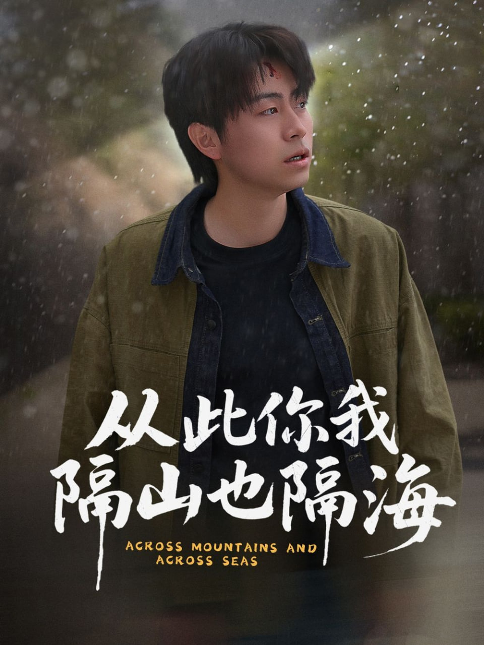 从此你我隔山也隔海(全集)