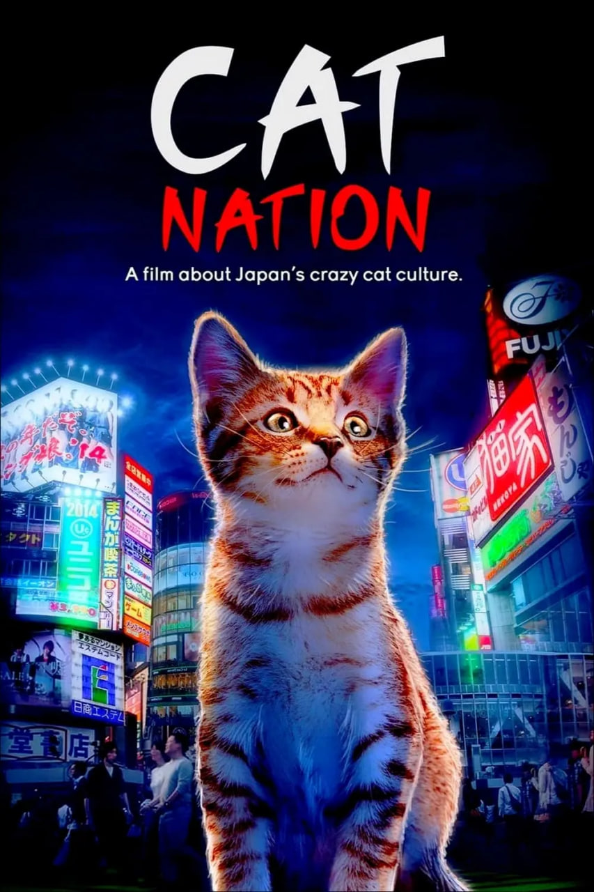 猫咪国度
