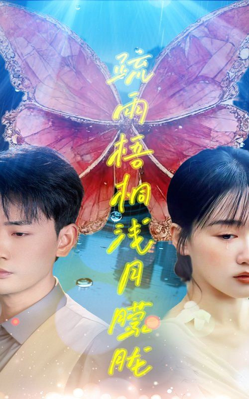 疏雨梧桐浅月朦胧(全集)