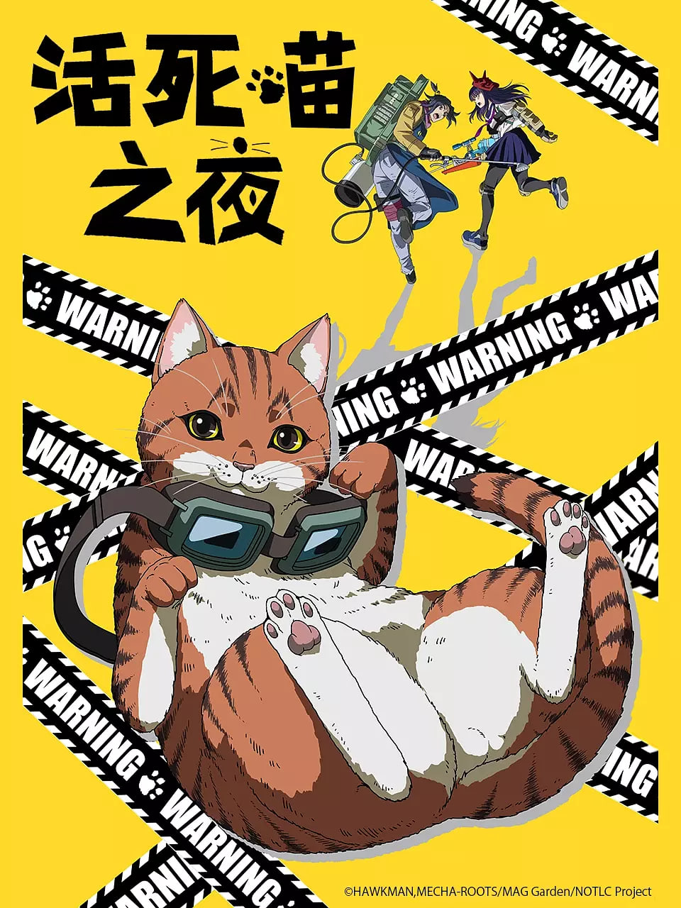 活死喵之夜