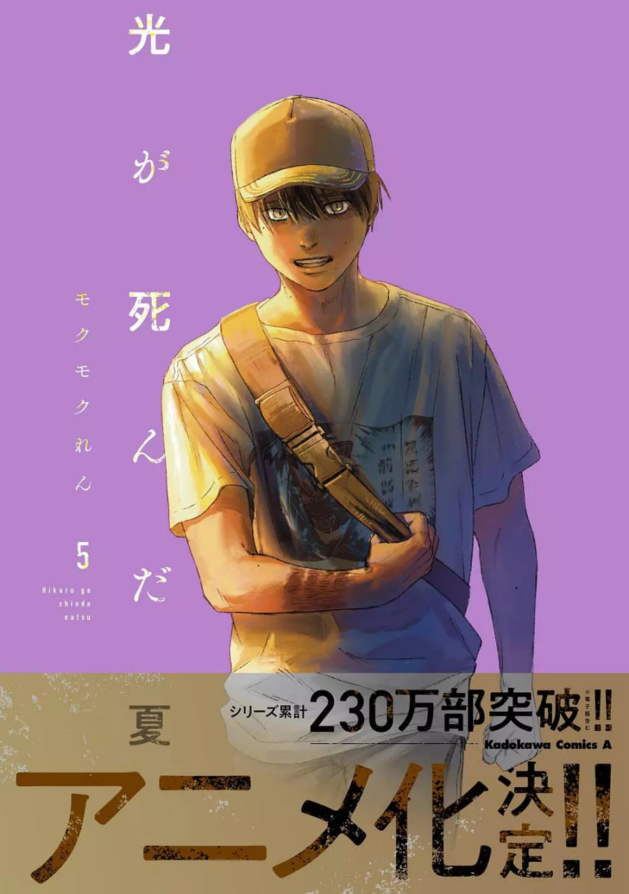 光逝去的夏天(全集)