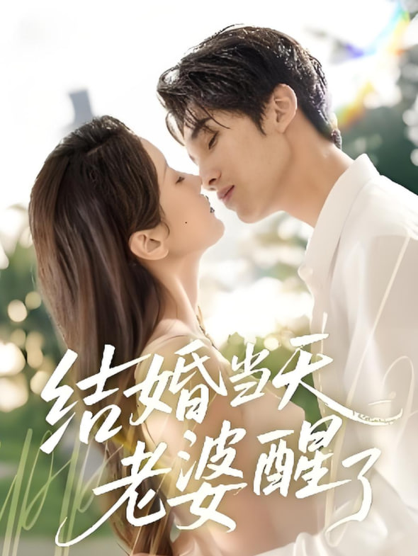结婚当天老婆醒了(全集)