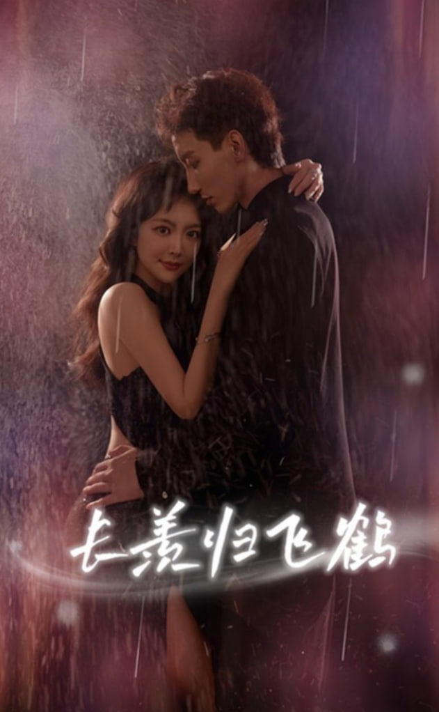 长羡归飞鹤(全集)