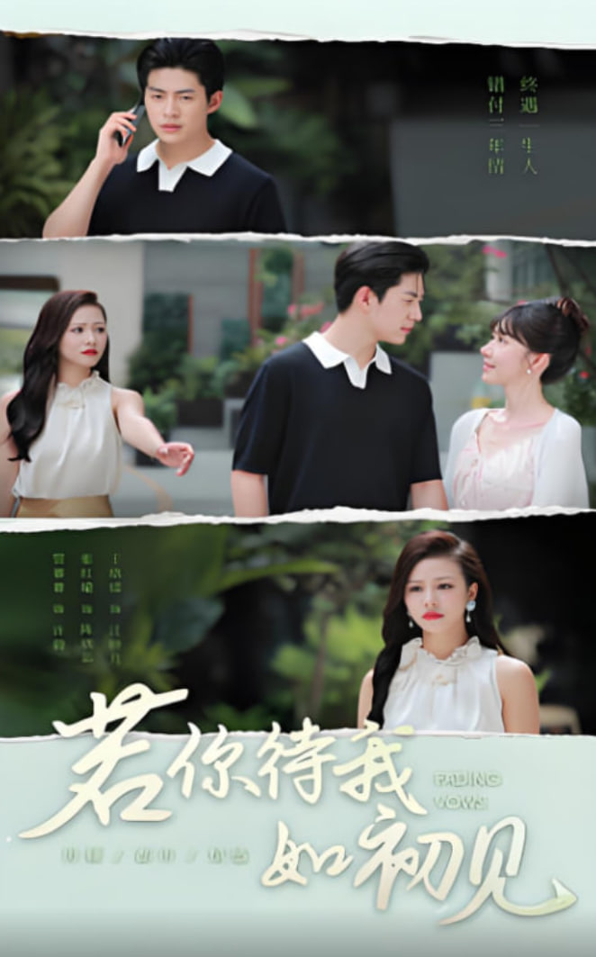 若你待我如初见(全集)