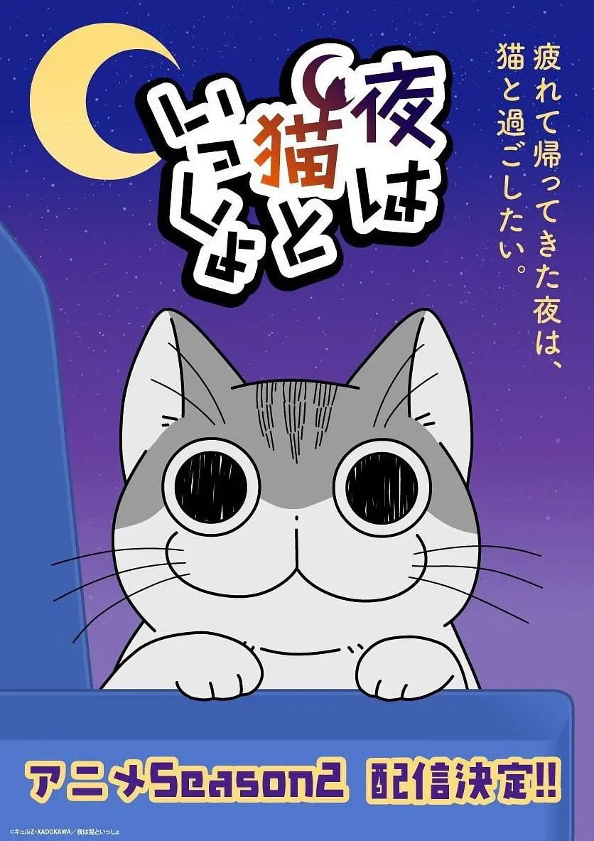 关于养猫我一直是新手 第二季(全集)