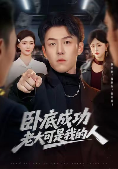 卧底成功老大可是我的人(全集)