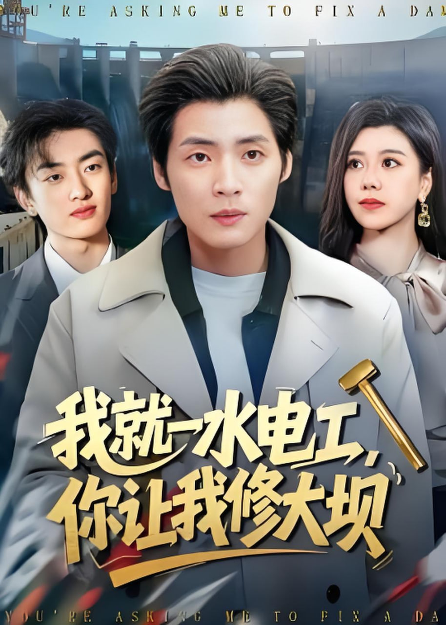 我就一水电工，你让我修大坝(全集)