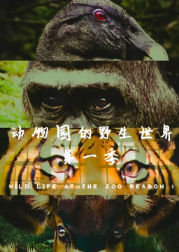 动物园的野生世界 第一季 第03集