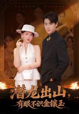 潜龙出山有眼不识金镶玉(全集)