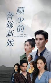 顾少的替嫁新娘(全集)