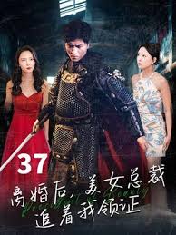离婚后，美女总裁追着我领证(全集)