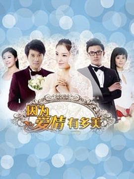 因为爱情有多美[DVD版](全集)