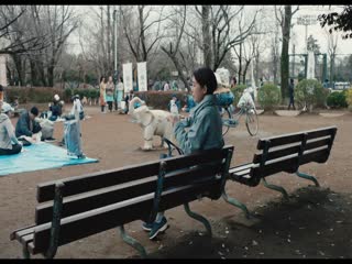波紋(全集)